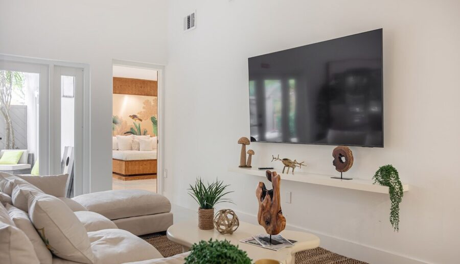 TV