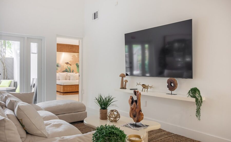 TV