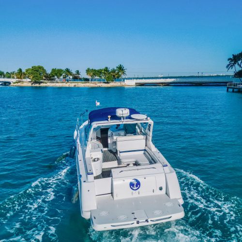 50954bc3-9c22-4062-82c0-0d04c88204c8