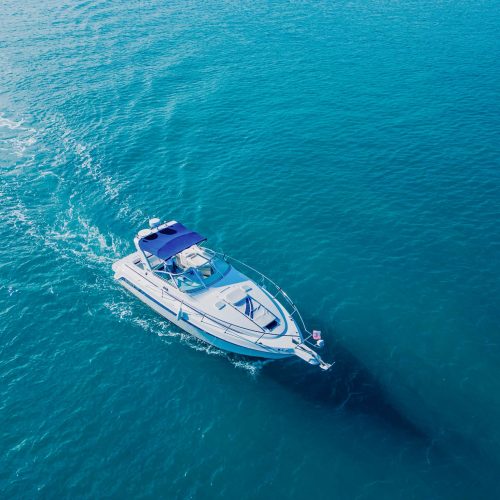 80cf551a-bae0-4ddf-94ec-fef317c243d6